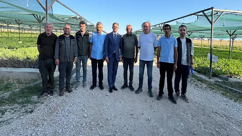 Vali Balcı: Fidanlık projemiz başarıyla devam ediyor
