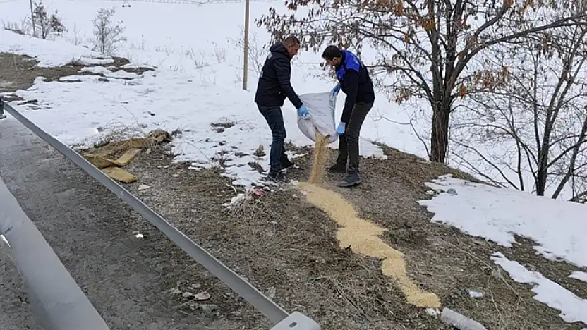 Van Büyükşehir Belediyesi kanatlı hayvanlar için seferber oldu