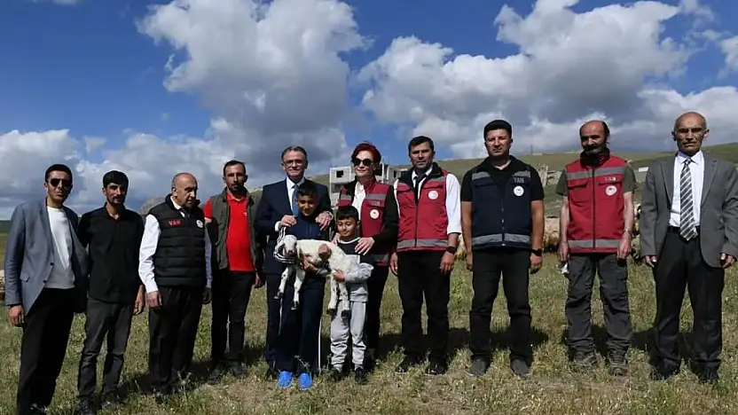 Van'da 3 yılda 2 bin 375 çiftçiye 235 bin koyun desteği verildi