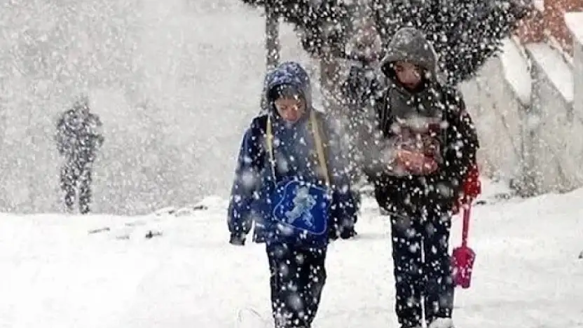Van'da 4 ilçede eğitime kar engeli