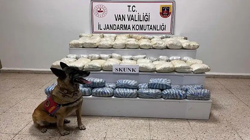Van'da 47 kilo skunk ele geçirildi