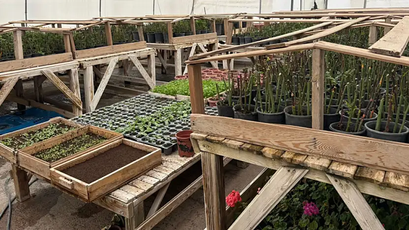 Van'da bahar hazırlıkları tamam: Parklar çiçek açacak