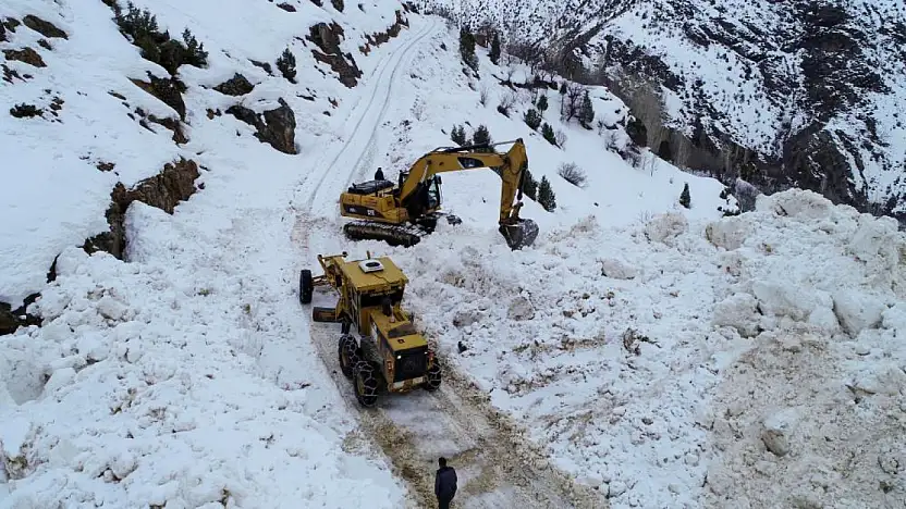 Van'da çığ düşen yol ulaşıma açıldı