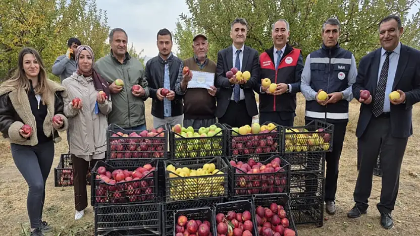 Van'da elma hasadı