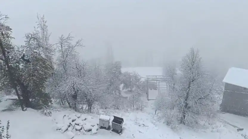 Van'da kar yağışı