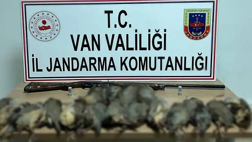 Van'da keklik avına 87 bin TL idari para cezası