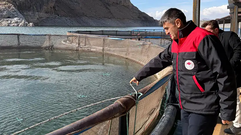 Van'da kırsal kalkınma destekleri alabalık üretimine güç katıyor