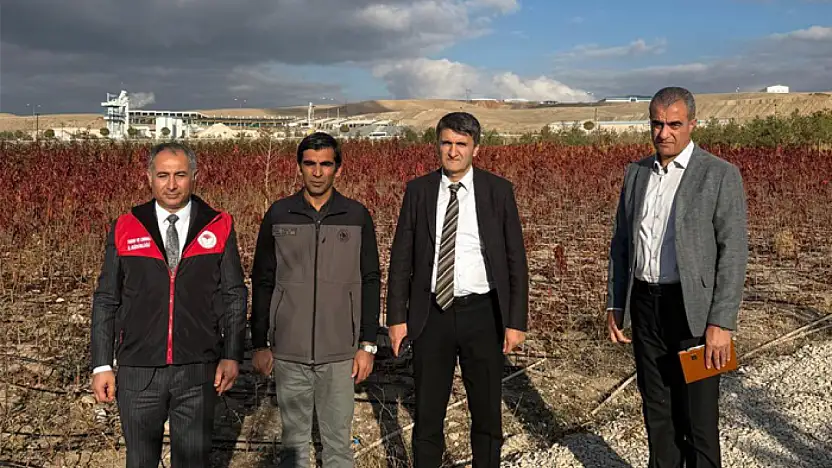 Van'da meyve fidanı üretimini artırma çalışmaları