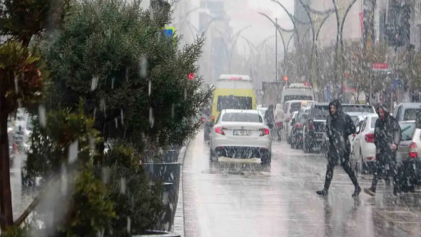 Van'da yağışlar çiftçilerin yüzünü güldürdü