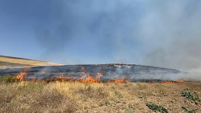 Van'da yüzlerce dönüm arazi kül oldu