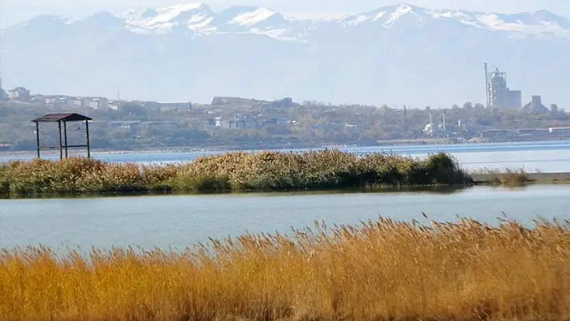 Van Gölü Havzası, Türkiye'nin en fazla sulak alanına ev sahipliği yapıyor