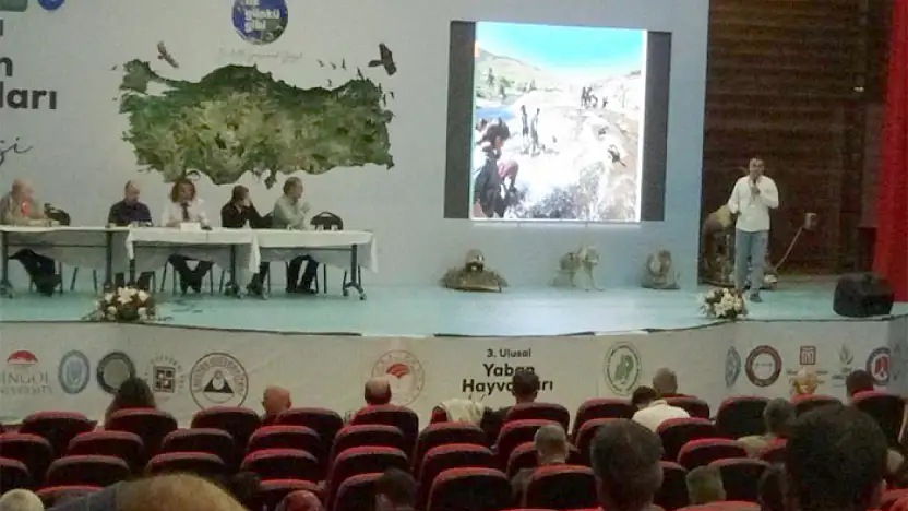 Van Gölü'nün oluşumu ve inci kefalinin mücadelesi