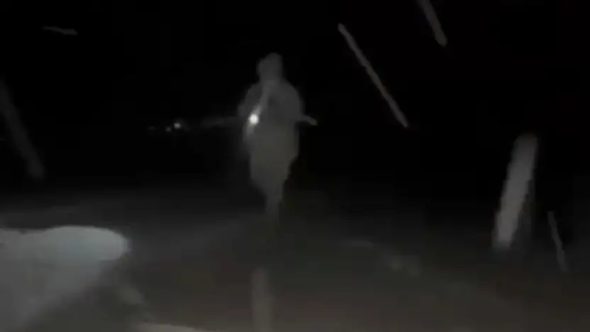 Van hudut hattında uyuşturucu ele geçirdi