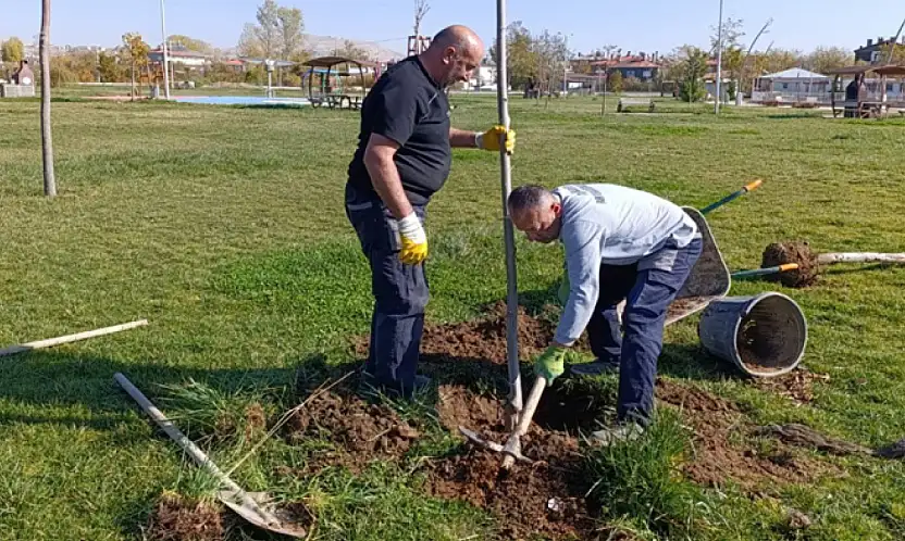 15 Temmuz Parkı'nda fidan dikim çalışması