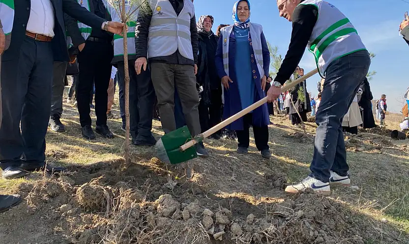 AK Parti Van, fidanları toprakla buluşturdu