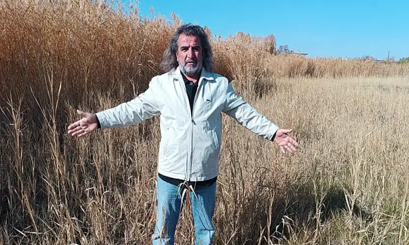 Aslan: Sulak alanlar tabiatın rahimleridir