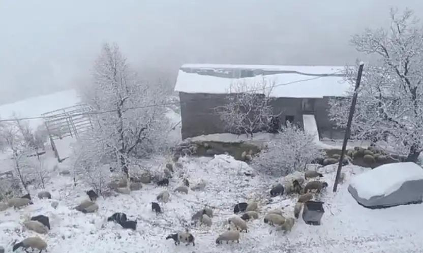 Bahçesaray'da kar yağışı
