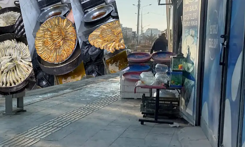 Balıkçı esnafından satış ve pişirme yerleri talebi