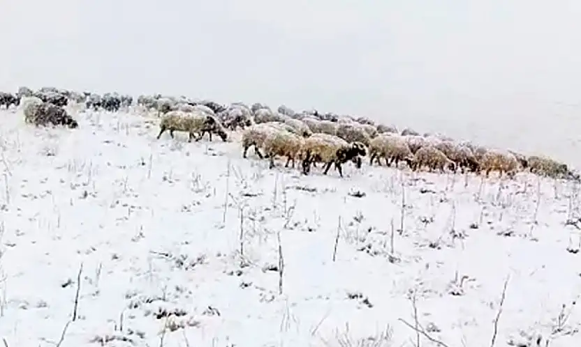 Başkale beyaza büründü