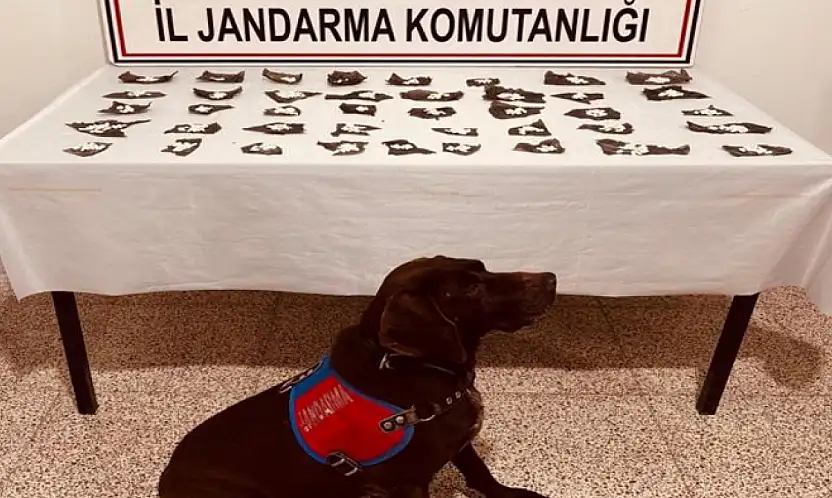 Başkale'de 171 gram bonzai ele geçirildi