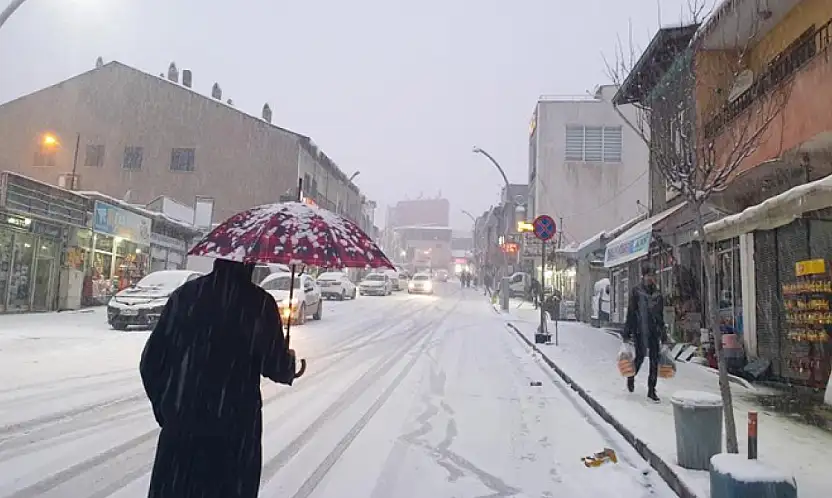 Başkale'de kar yağışı etkili oldu