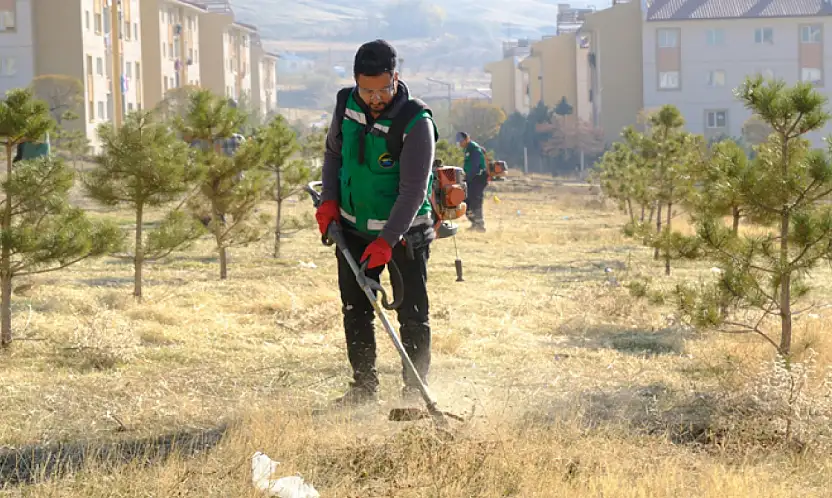 Bostaniçi Mahallesi'nde yeşil alan temizliği ve budama çalışması