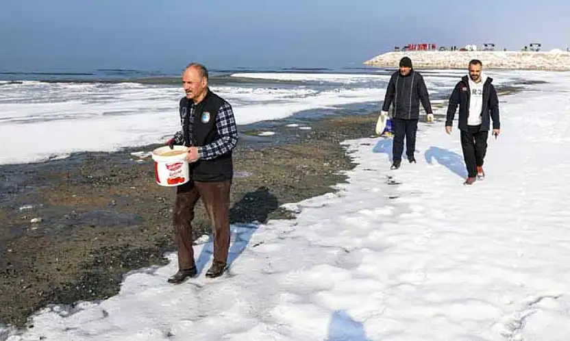 Büyükşehir Belediyesi kuşlar için doğaya yem bıraktı