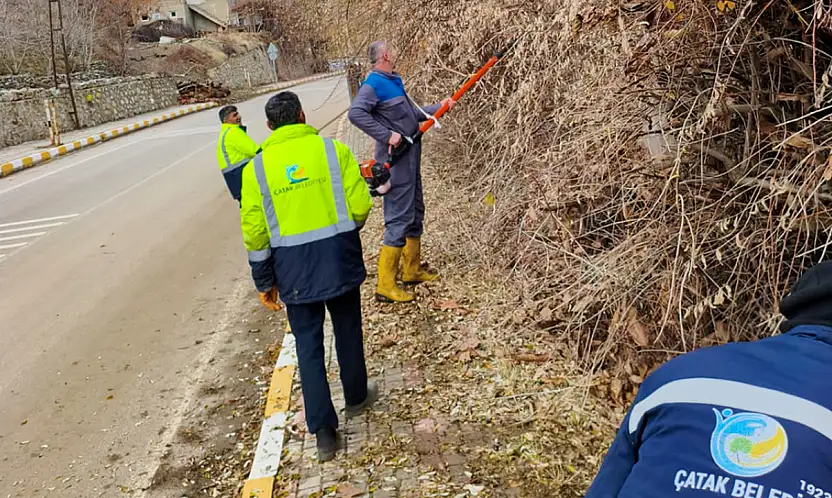 Çatak'ta kaldırımları kapatan çalılar temizlendi