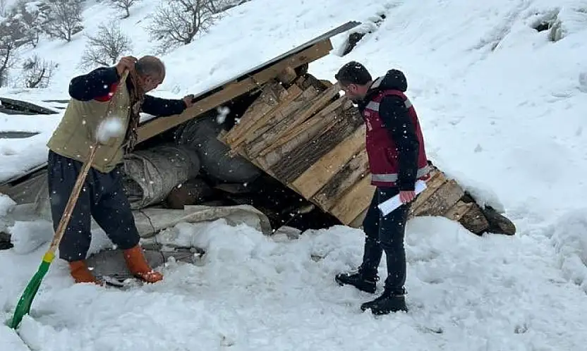 Çatak'ta kar yağışı sonrası tarımsal hasar kayıt altına alındı