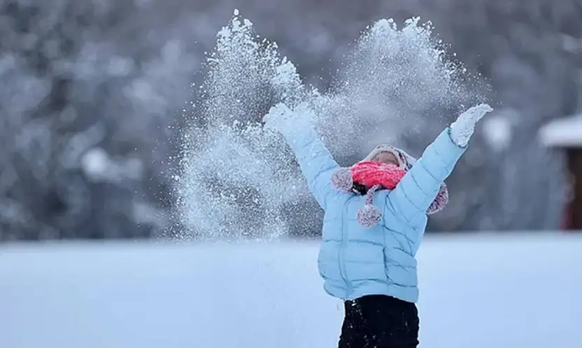 Çatak ve Bahçesaray'da eğitime 1 gün ara verildi