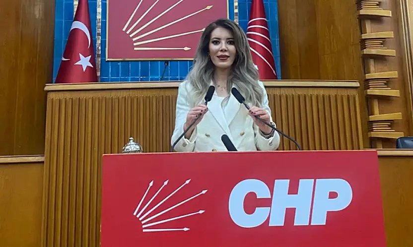 CHP Van İl Kadın Kolları Başkanı Aslan: Medeni Kanun eşitliğin teminatıdır