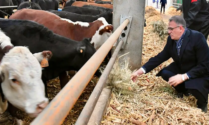 Düve Üretim Merkezi hayvancılığa büyük katkı sağlayacak