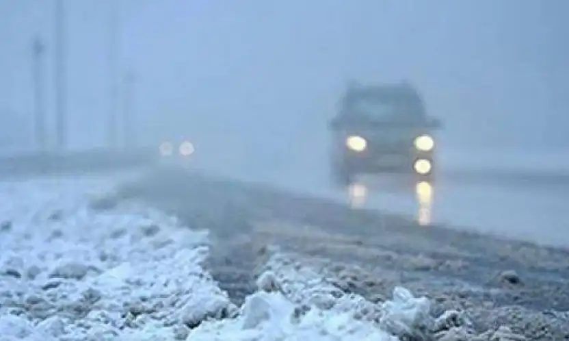 Edremit Belediyesi, buzlanma ve don olayına karşı uyardı