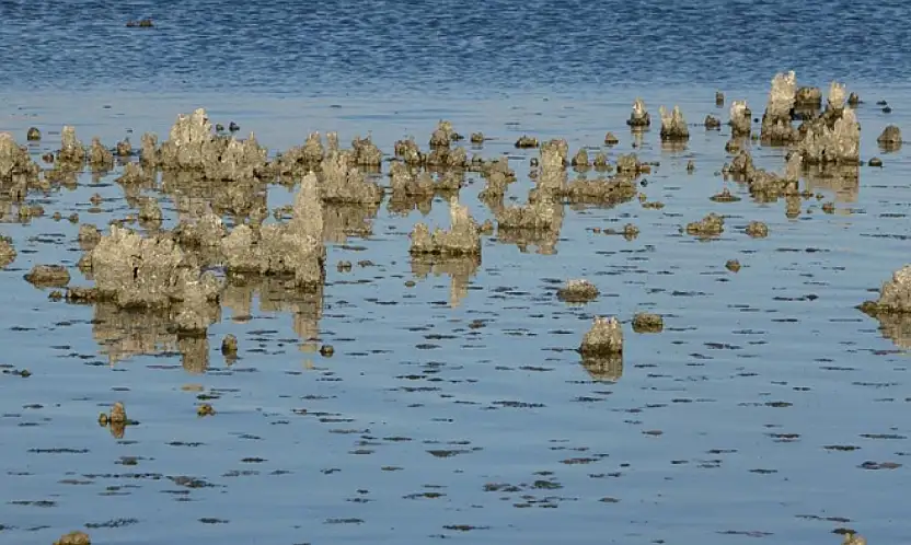 Erçek Gölü'nde su çekilince mikrobiyalitler ortaya çıktı