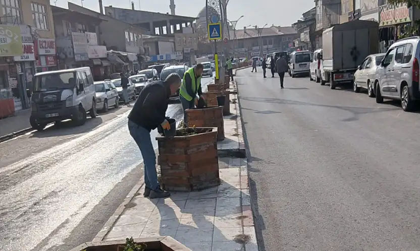 Erciş Belediyesi orta refüjlere gül dikimi yaptı