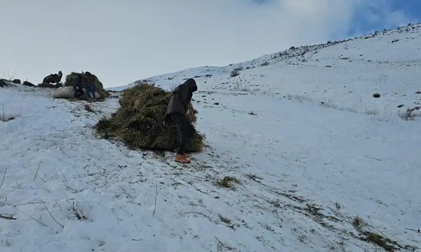 Erciş'te asırlık kış mesaisi