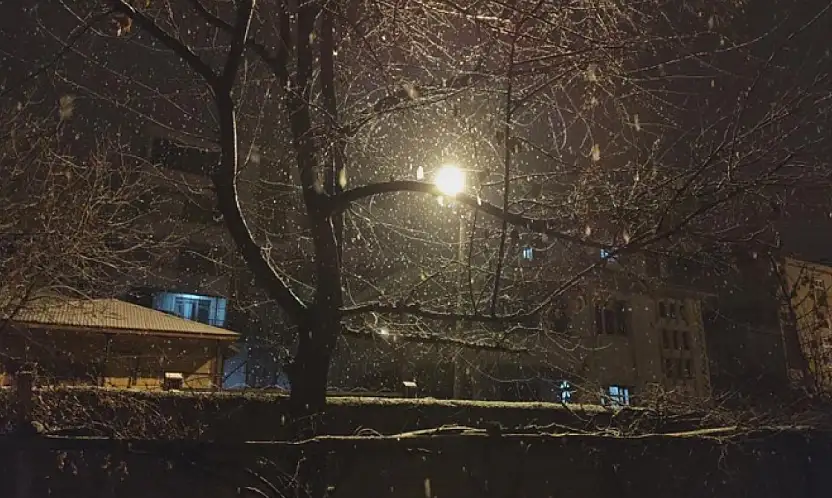 Erciş'te kar yağışı