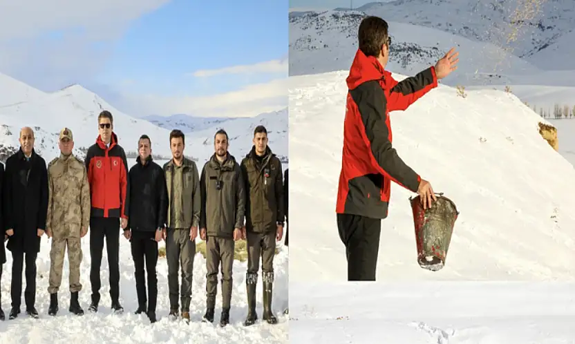 Erciş'te yaban hayvanları unutulmadı