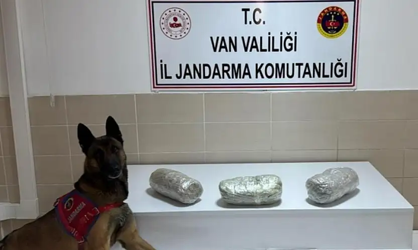 Gevaş'ta esrar ele geçirildi