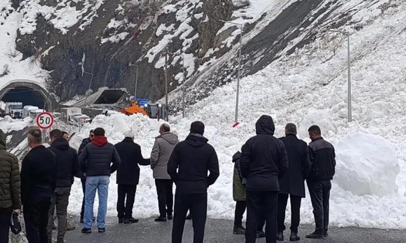 Hakkari-Van kara yoluna çığ düştü