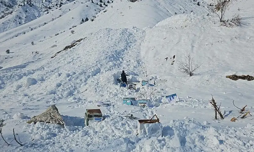 Hakkari-Van karayolunda 32 arı kovanı çığ altında kaldı
