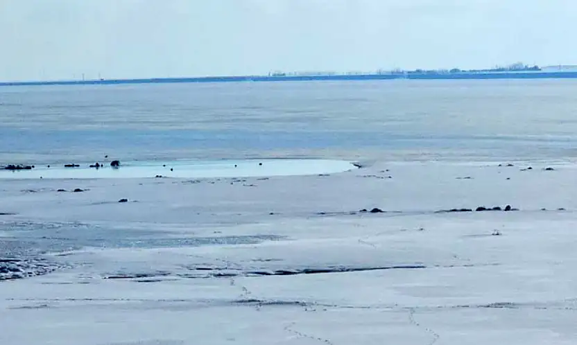 Kuş cenneti Arin Gölü kısmen dondu