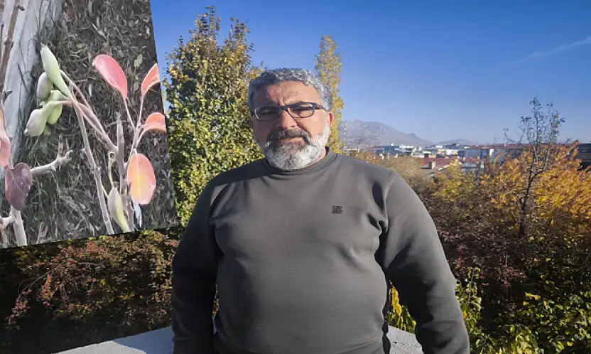 Armut ağacı meyve verdi