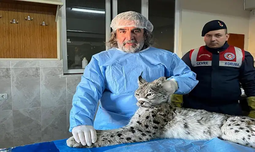 Prof. Dr. Aslan: İnsan-yaban hayvanı teması biyogüvenlik açısından ciddi risk taşıyor