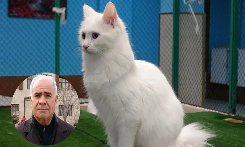 Prof. Dr. Kaya: Kediler hayatımızın ayrılmaz bir parçasıdır