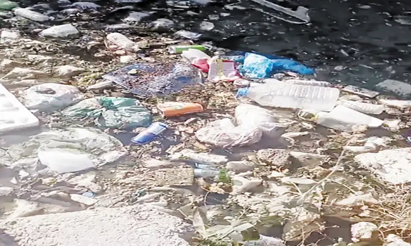 Şamran Kanalı'nda biriken çöpler sağlığı tehdit ediyor