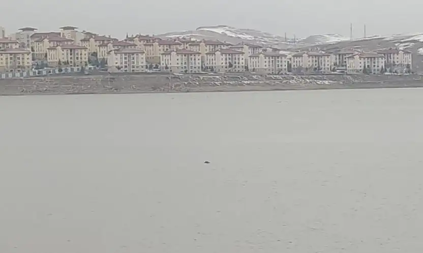 Sıhke Göleti'ne giren inek telef oldu