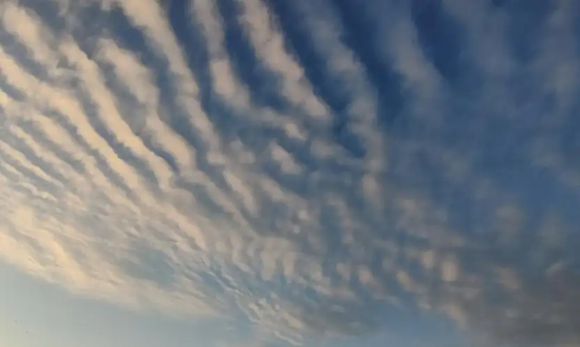 Sirrokümülüs bulutları Van semalarında görsel şölen sundu