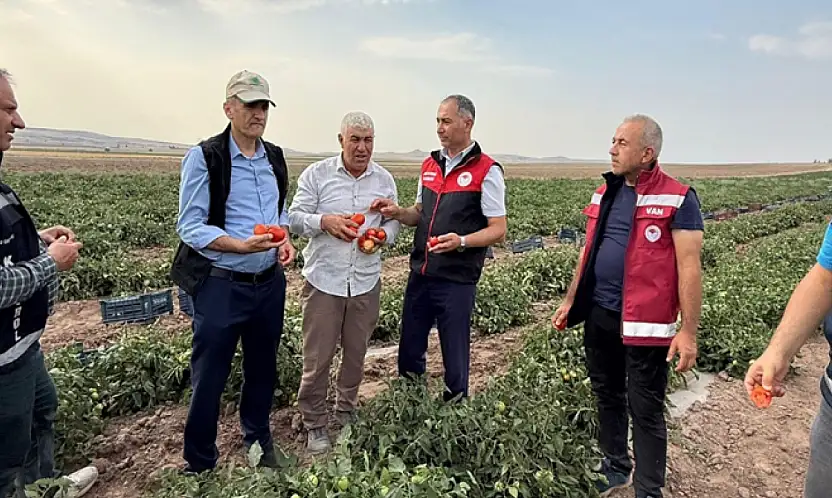 Tarım ve Orman İl Müdürü Dr. Şişman, Tuşba'da üreticileri ziyaret etti