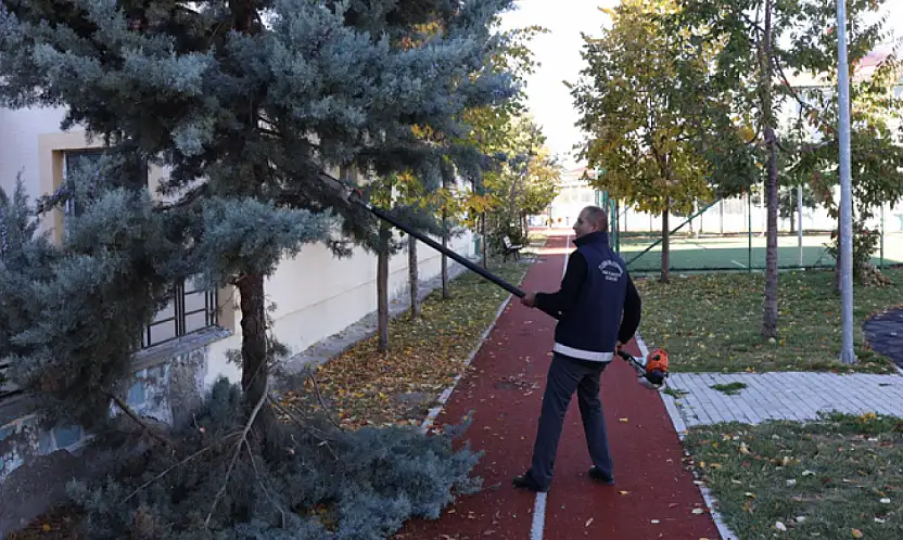 Tuşba Belediyesi ağaç budama çalışmalarına devam ediyor